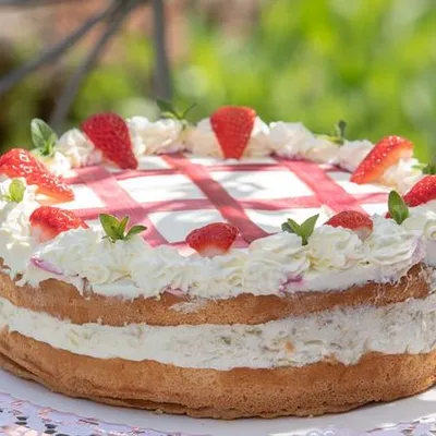 Feine Rhabarbertorte